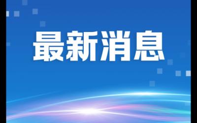 317764份！坦洲核酸檢測全部陰性！